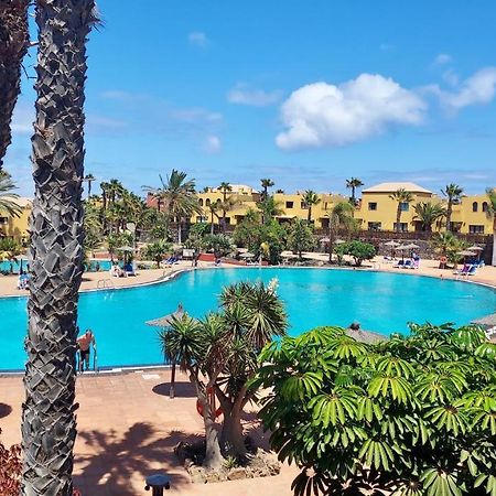 Tamarindo 41, Big Pool,Next To The Dunes. Corralejo Exteriér fotografie